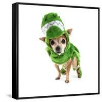 A Cute Chihuahua Dressed Up as a Dinosaur-graphicphoto-Framed Stretched Canvas