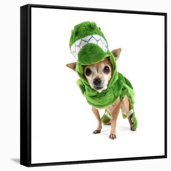A Cute Chihuahua Dressed Up as a Dinosaur-graphicphoto-Framed Stretched Canvas