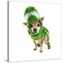 A Cute Chihuahua Dressed Up as a Dinosaur-graphicphoto-Stretched Canvas