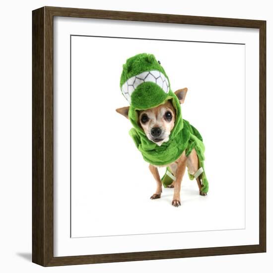 A Cute Chihuahua Dressed Up as a Dinosaur-graphicphoto-Framed Photographic Print