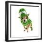 A Cute Chihuahua Dressed Up as a Dinosaur-graphicphoto-Framed Photographic Print