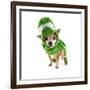 A Cute Chihuahua Dressed Up as a Dinosaur-graphicphoto-Framed Photographic Print