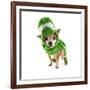 A Cute Chihuahua Dressed Up as a Dinosaur-graphicphoto-Framed Photographic Print