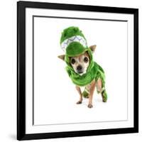 A Cute Chihuahua Dressed Up as a Dinosaur-graphicphoto-Framed Photographic Print