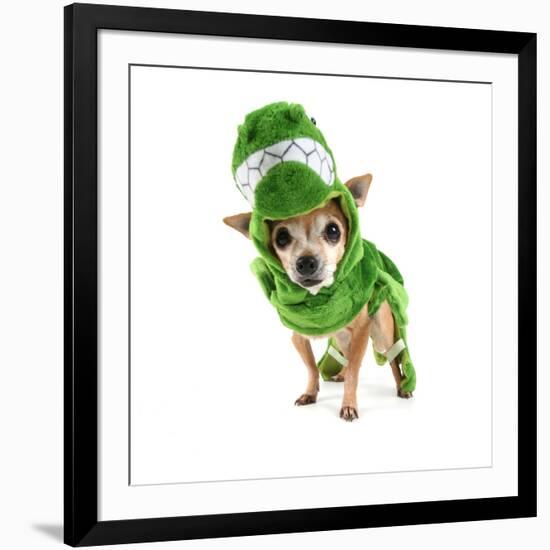 A Cute Chihuahua Dressed Up as a Dinosaur-graphicphoto-Framed Photographic Print