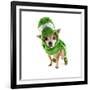 A Cute Chihuahua Dressed Up as a Dinosaur-graphicphoto-Framed Photographic Print