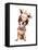 A Cute Chihuahua in a Costume-graphicphoto-Framed Stretched Canvas