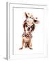 A Cute Chihuahua in a Costume-graphicphoto-Framed Photographic Print