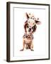 A Cute Chihuahua in a Costume-graphicphoto-Framed Photographic Print