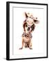 A Cute Chihuahua in a Costume-graphicphoto-Framed Photographic Print