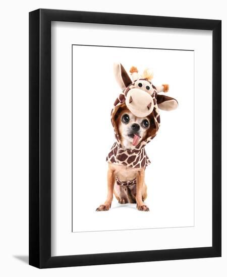 A Cute Chihuahua in a Costume-graphicphoto-Framed Photographic Print