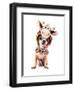 A Cute Chihuahua in a Costume-graphicphoto-Framed Photographic Print