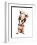 A Cute Chihuahua in a Costume-graphicphoto-Framed Photographic Print