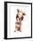 A Cute Chihuahua in a Costume-graphicphoto-Framed Photographic Print