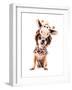 A Cute Chihuahua in a Costume-graphicphoto-Framed Photographic Print