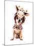 A Cute Chihuahua in a Costume-graphicphoto-Mounted Photographic Print