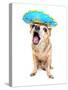 A Cute Chihuahua in a Halloween Costume-graphicphoto-Stretched Canvas