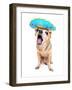 A Cute Chihuahua in a Halloween Costume-graphicphoto-Framed Photographic Print