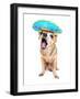 A Cute Chihuahua in a Halloween Costume-graphicphoto-Framed Photographic Print