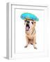 A Cute Chihuahua in a Halloween Costume-graphicphoto-Framed Photographic Print