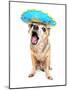 A Cute Chihuahua in a Halloween Costume-graphicphoto-Mounted Photographic Print