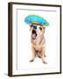 A Cute Chihuahua in a Halloween Costume-graphicphoto-Framed Photographic Print