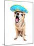 A Cute Chihuahua in a Halloween Costume-graphicphoto-Mounted Photographic Print