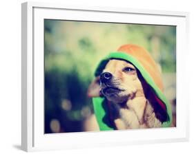 A Cute Chihuahua in a Hoodie-graphicphoto-Framed Photographic Print