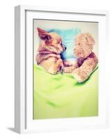 A Cute Chihuahua Sleeping Next to a Teddy Bear-graphicphoto-Framed Photographic Print