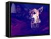 A Cute Chihuahua Watching Tv with a Girl and Another Dog-graphicphoto-Framed Stretched Canvas