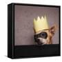 A Cute Chihuahua With A Crown And Mask On-graphicphoto-Framed Stretched Canvas