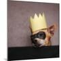 A Cute Chihuahua With A Crown And Mask On-graphicphoto-Mounted Photographic Print