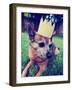 A Cute Chihuahua with a Crown Laying on Green Grass Toned a Retro Vintage Instagram Filter-graphicphoto-Framed Photographic Print