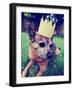 A Cute Chihuahua with a Crown Laying on Green Grass Toned a Retro Vintage Instagram Filter-graphicphoto-Framed Photographic Print