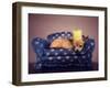 A Cute Chihuahua With A Crown On Napping On A Couch-graphicphoto-Framed Photographic Print