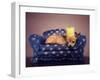 A Cute Chihuahua With A Crown On Napping On A Couch-graphicphoto-Framed Photographic Print