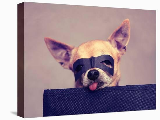 A Cute Chihuahua with a Mask-graphicphoto-Stretched Canvas