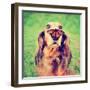 A Cute Dachshund at a Local Public Park with a Butterfly on His or Her Nose Toned with a Retro Vint-Annette Shaff-Framed Photographic Print