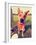 A Cute Happy Dog in the Grass at a Park during Summer Toned with a Retro Vintage Instagram Filter E-graphicphoto-Framed Photographic Print
