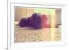 A Cute Schnauzer-graphicphoto-Framed Photographic Print