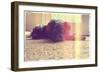 A Cute Schnauzer-graphicphoto-Framed Photographic Print