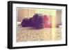 A Cute Schnauzer-graphicphoto-Framed Photographic Print