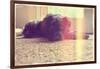 A Cute Schnauzer-graphicphoto-Framed Photographic Print