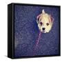 A Cute Terrier-graphicphoto-Framed Stretched Canvas