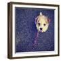 A Cute Terrier-graphicphoto-Framed Photographic Print