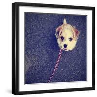 A Cute Terrier-graphicphoto-Framed Photographic Print