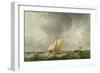 A Cutter in a Strong Breeze (Oil on Copper)-Charles Brooking-Framed Giclee Print