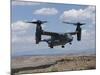 A CV-22 Osprey Prepares To Land During a Training Mission-Stocktrek Images-Mounted Photographic Print