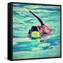 A Dachshund with a Ball in His Mouth-graphicphoto-Framed Stretched Canvas