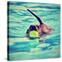 A Dachshund with a Ball in His Mouth-graphicphoto-Stretched Canvas